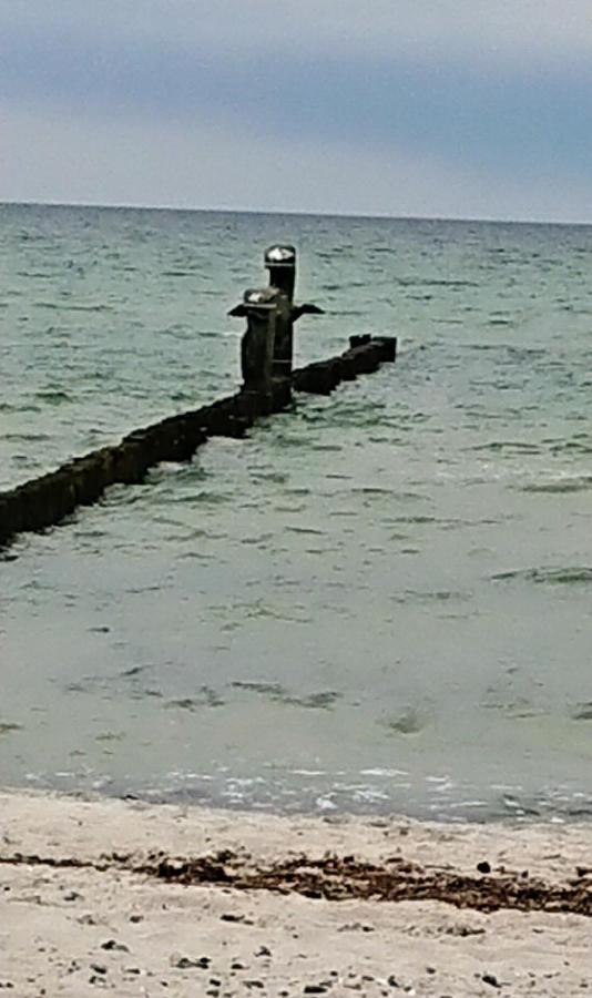 Ferienwohnung "Juliette" Zingst Esterno foto